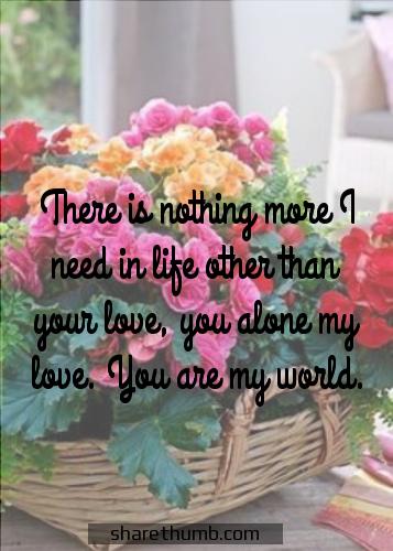 i love you your my world quotes